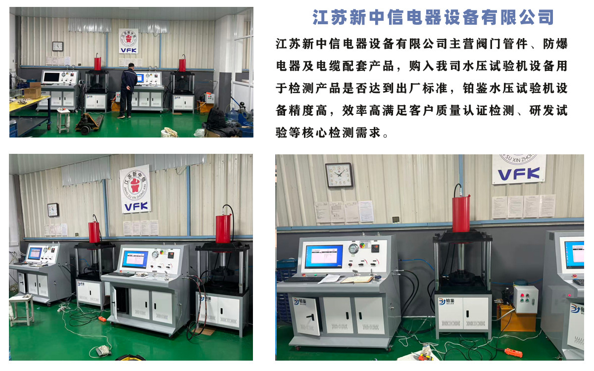 江蘇新中信復購我司兩臺水壓試驗機
